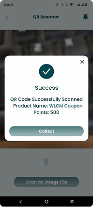 Flare Mobile App